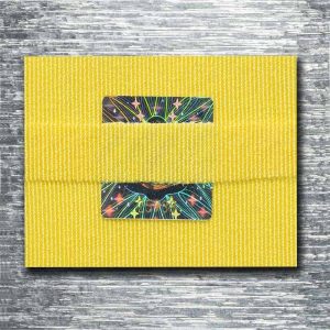 Vagus-Pflaster (VNA Tape)