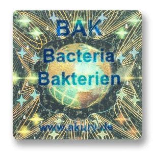 BAK - Bakterien