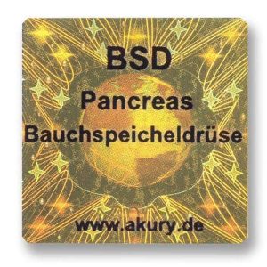 BSD - Bauchspeicheldruese/Pankreas