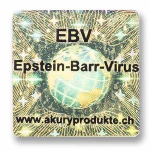 EBV - Epstein-Barr Virus