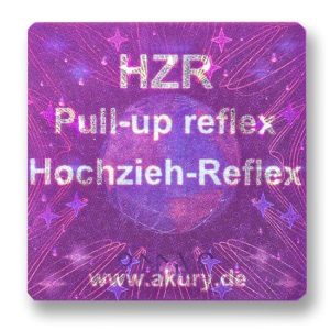HZR - Pull-up Reflex