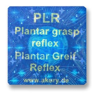 PLR - Plantar Grasp Reflex