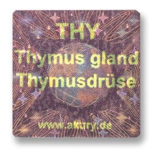 THY - Thymus Gland