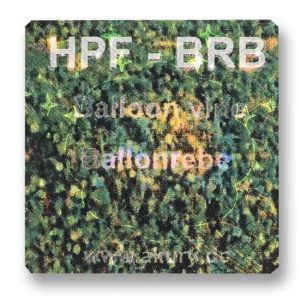 HPF-BRB - Balloon Vine