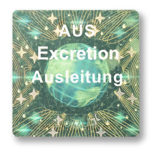 AUS - Ausleitung