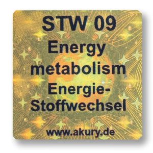 Set - Energielosigkeit, Antriebslosigkeit