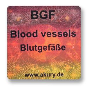 BGF - Blood vessels