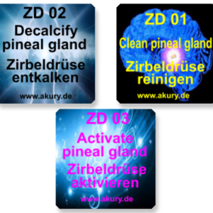 SET - Zirbeldrüse reinigen, entkalken und aktivieren