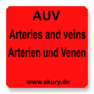 AUV - Arterien und Venen