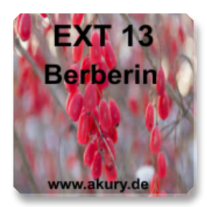 EXT 13 - Berberin